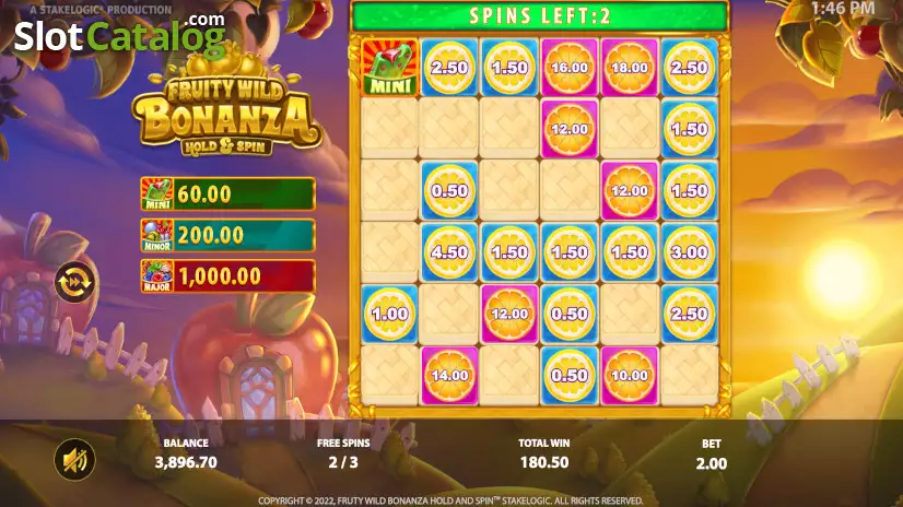 Video Fruity Wild Bonanza Hold and Spin Slot