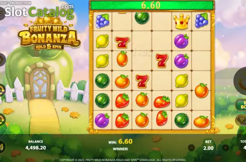 Bildschirm4. Fruity Wild Bonanza Hold and Spin slot