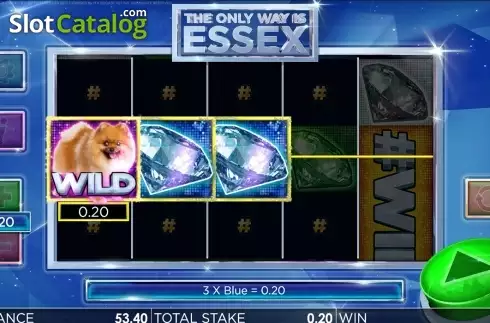 Wild win screen. The Only Way is Essex slot
