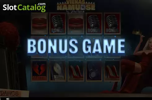Bonus Game screen. Vienas Namuose slot