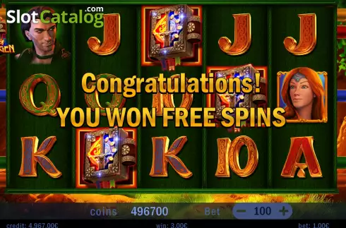 Free Spins Game screen 3. Book of Nibelungen slot