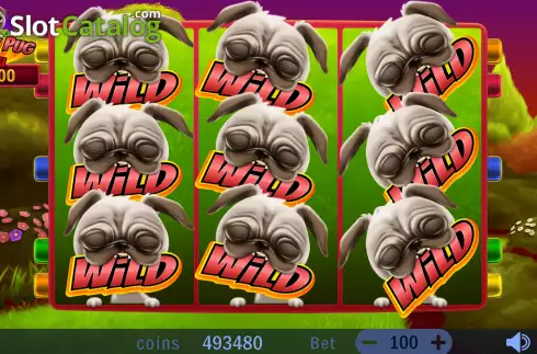 Bonus Wheel Win Screen. Crazy Pug slot
