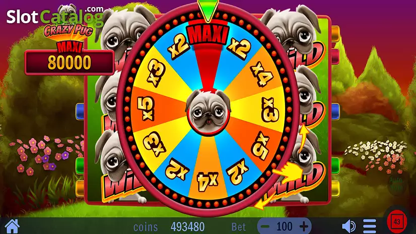 Crazy Pug Bonus Wheel