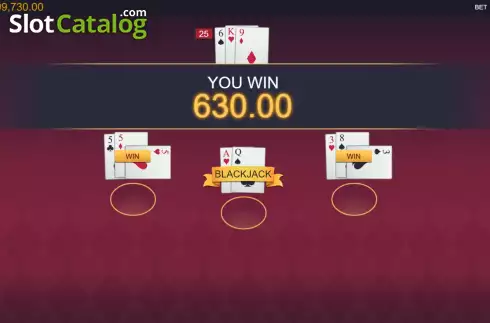 Bildschirm5. Perfect Strategy Blackjack slot