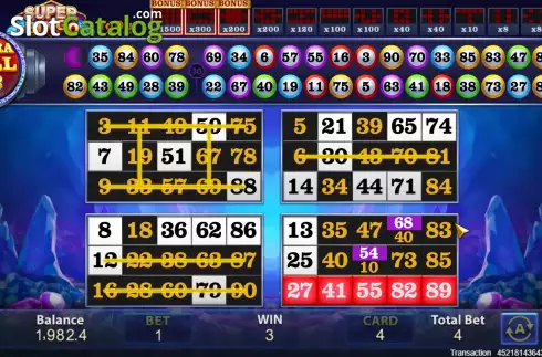 Win screen. Super Bingo slot