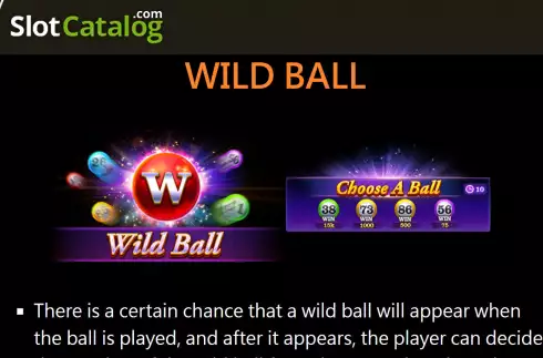 Wild Ball screen. Super Bingo slot