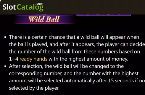 Wild Ball screen 2. Super Bingo slot