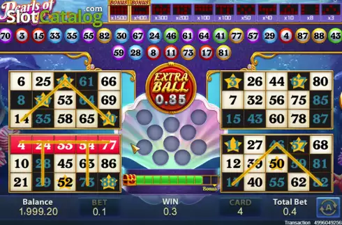 Win screen. Pearls of Bingo slot