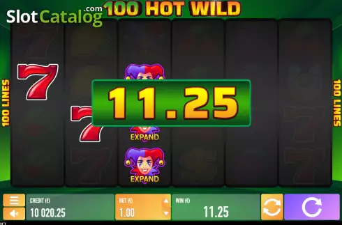 Bildschirm3. Hot Wild 100 slot