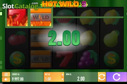 Win screen. Hot Wild 5 slot