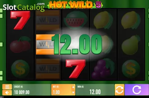 Win screen 2. Hot Wild 5 slot