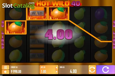 Win screen 2. Hot Wild 40 slot