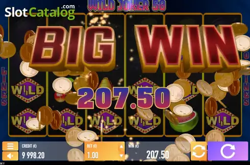 Big Win screen. Wild Joker 50 slot
