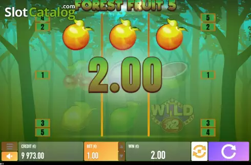 Win screen. Forest Fruit 5 slot