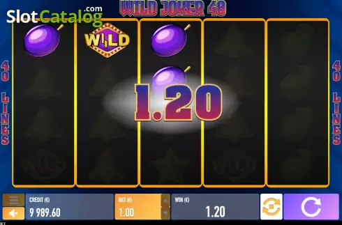 Win screen. Wild Joker 40 slot