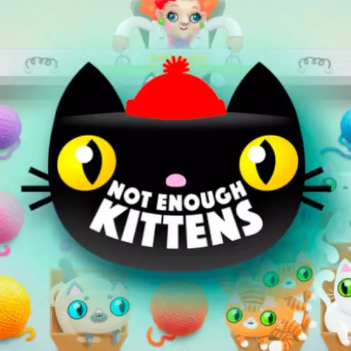 Not Enough Kittens Logotipo