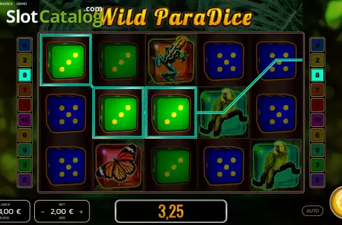 Win screen. Wild Paradice slot