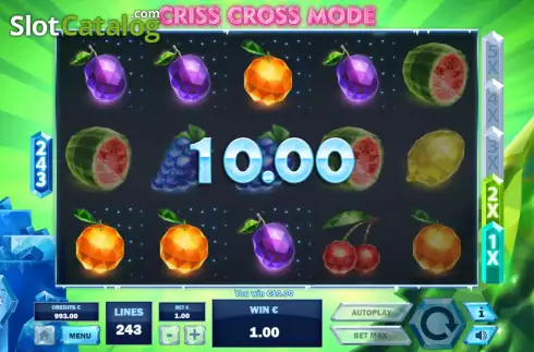 Win screen. 243 Christmas Fruits slot