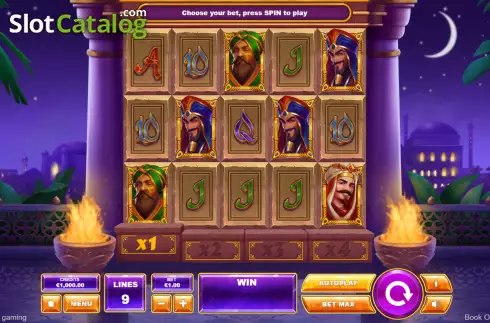 Game Screen. Book of Aladdin slot