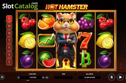 Schermo2. Hot Hamster slot