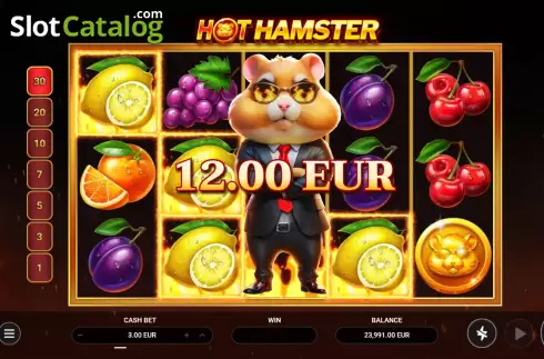 Schermo3. Hot Hamster slot