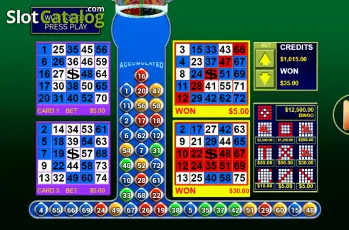 Win Screen. Bingo 3 slot