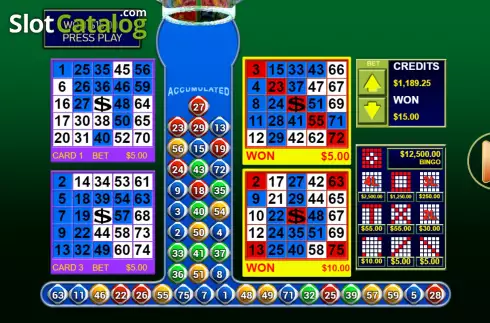 Ekran5. Bingo 3 yuvası
