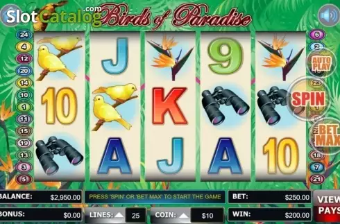 Schermo8. Birds Of Paradise (Wager Gaming) slot