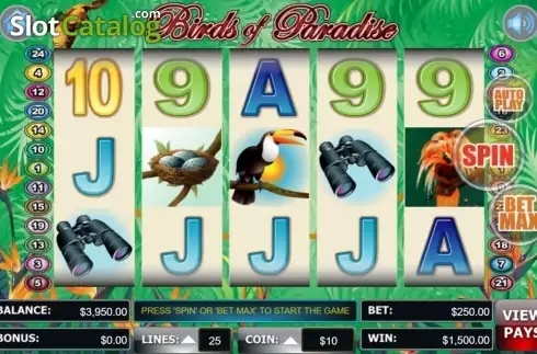 Schermo9. Birds Of Paradise (Wager Gaming) slot