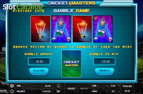 Risk game screen. Cricket Masters slot