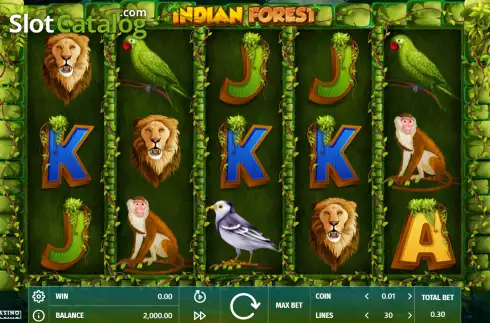 Game Screen. Indian Forest slot