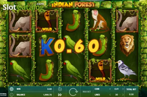 Win Screen. Indian Forest slot