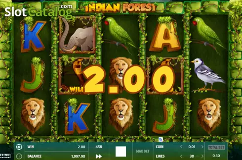 Win Screen 2. Indian Forest slot