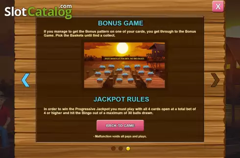 Rules 3. Bingo Ribeirinhos slot