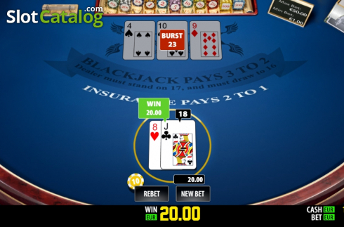 Win screen 2. BlackJack Single Pro (Play Labs) slot