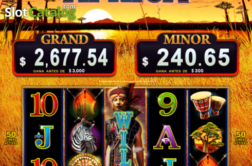 Free Spins . Amazing Africa slot
