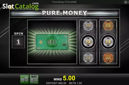 Win screen. Pure Money slot