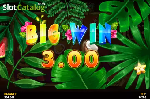 Big Win 1. Tropical Bonanza slot