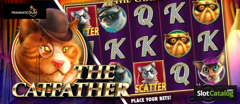 Pay Both Ways The Catfather The Catfather Logo