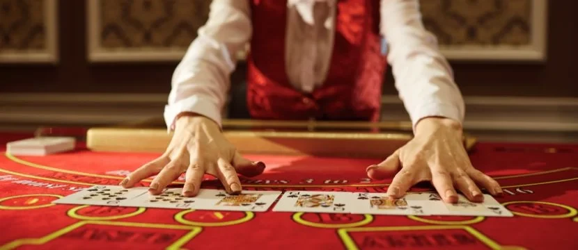 Live Dealer Live Dealer