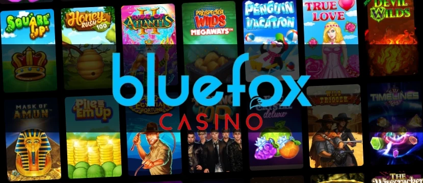 blue-fox Jeton