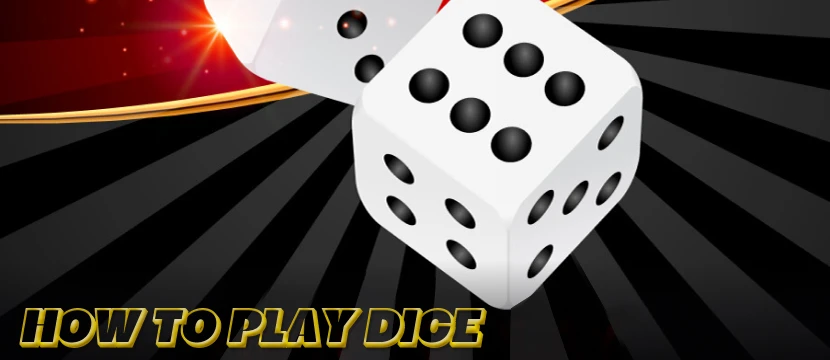 How To Play Dice Game In Casino