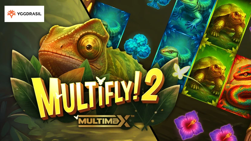 MultiFly 2 slot