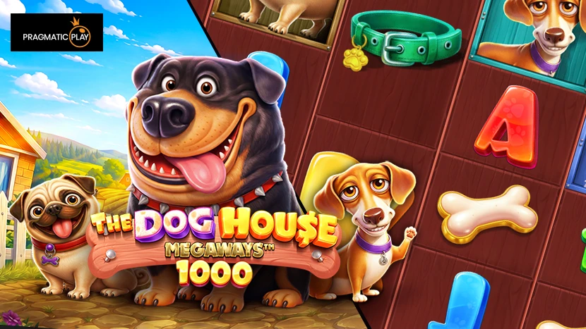 The Dog House Megaways 1000 slot