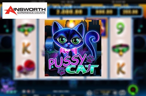 Pussy-Katze