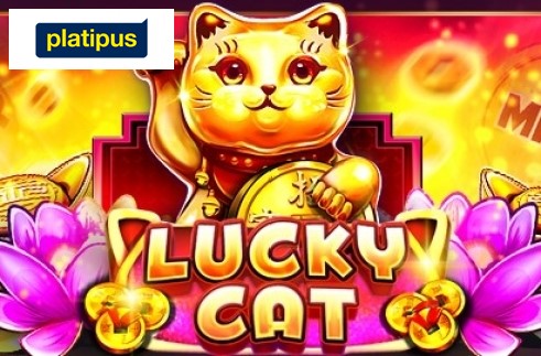 Lucky-Cat-Platipus