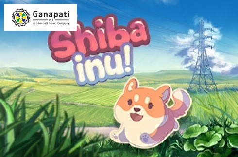 Shiba Inu-