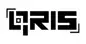 QRIS